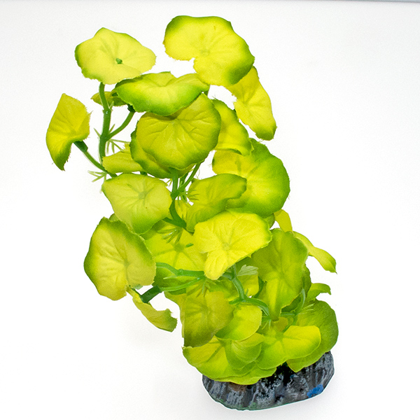 Растение аквариумное шелк.20 см желто-зеленое 2018