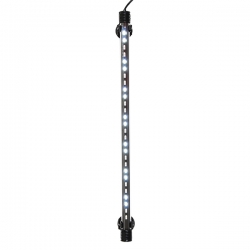 i.catalog_items_name