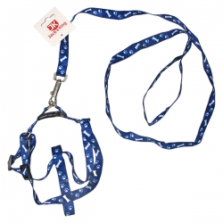i.catalog_items_name