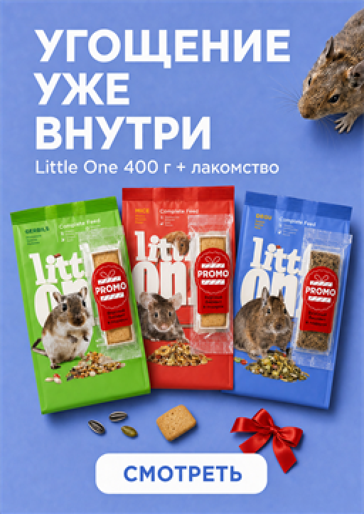 Вкусные лакомства в подарок!