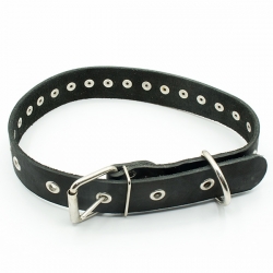 Ошейник кож. 35/1 кожа украшен. длин. черный, размер 52-66 см.