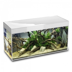 Аквариум AQUAEL^GLOSSY^ 120,260л белый(120х40х63) R/FitSunny18W-3шт (вместо 121501, 17W)