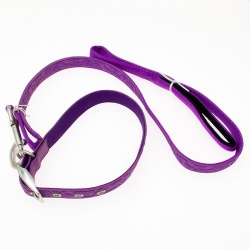 Поводок 2см*110см+ошейник 2,5см*48см сиреневыйПВХ+нейлон, JK