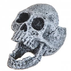 i.catalog_items_name