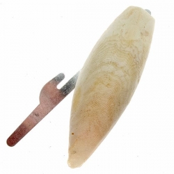 i.catalog_items_name