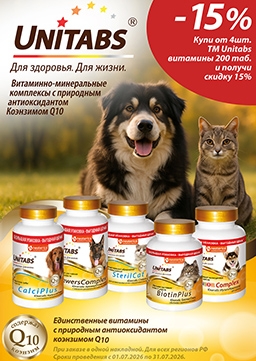 Скидка -15%