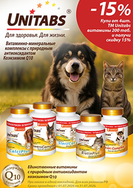 Скидка -15%