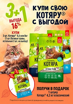 КОТЯРА  3+1