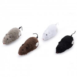 i.catalog_items_name