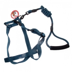 i.catalog_items_name