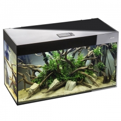 Аквариум AQUAEL^GLOSSY^ 100, DAY&NIGHT 215л черный(100*40*63)LEDDY TUBE 14W SUNNY D&N 2.0 -2 шт.