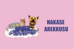 HAKASE AREKKUSU