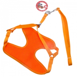 i.catalog_items_name