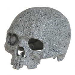i.catalog_items_name