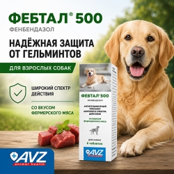 Фебтал 500 (2 бистера по 3 таб.)