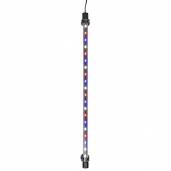 i.catalog_items_name