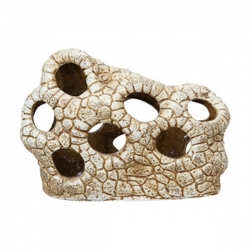 i.catalog_items_name