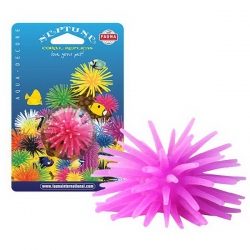 i.catalog_items_name