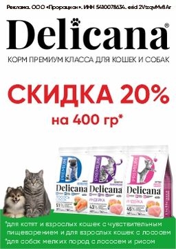 Скидка -20%