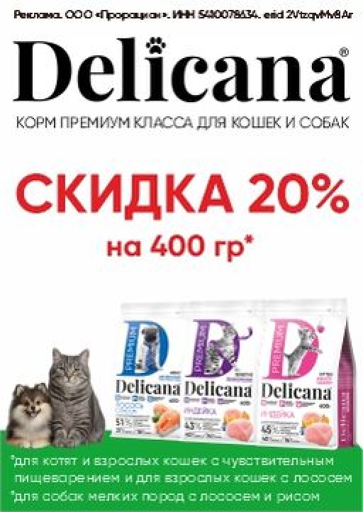 Скидка -20%