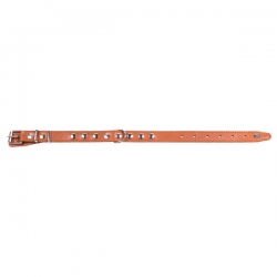 Ошейник кож. 25/2 (Наша РР)