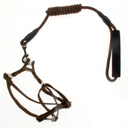 i.catalog_items_name
