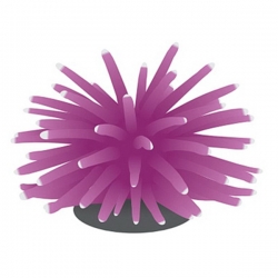 i.catalog_items_name