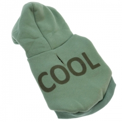 i.catalog_items_name