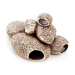 i.catalog_items_name