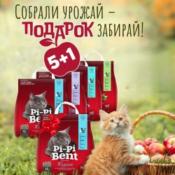 Пи-Пи-Бент наполн.5кг+Мор.бриз5кг+Нежный прованс5кг+Сенсация свеж.5кг-2шт+ПодарокПи-Пи-Бент клас.5кг