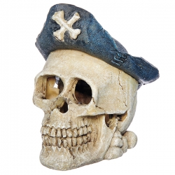 i.catalog_items_name