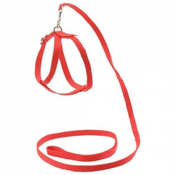 Комплект синтет. поводок 12мм*120см + шлейка-восьмерка об.шеи max 25см, красный
