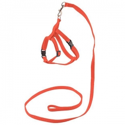 Комплект синтет. ECO ^Sport Classic^ поводок 1см*120см+шлейка об.гр. 30-45см, красный