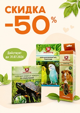 Скидка - 50% действует  до 31.07.2026