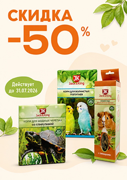 Скидка - 50% действует  до 31.07.2026
