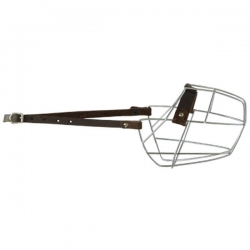 i.catalog_items_name