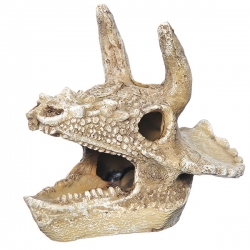 i.catalog_items_name