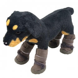 i.catalog_items_name