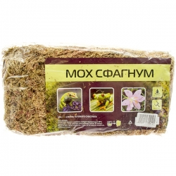 Мох Сфагнум Террариумный 4л/100г ПТВ (упаковка)