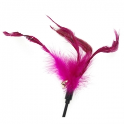 i.catalog_items_name