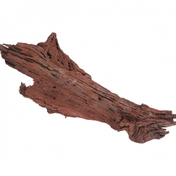 Коряги средние 30-45 см