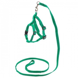 Комплект синтет. ECO ^Sport Classic^ поводок 1см*120см+шлейка об.гр. 30-45см, зеленый
