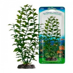 Растение BLOOMING LUDWIGIA 27см с грузом зеленое