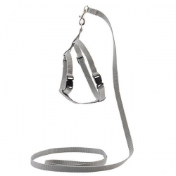 Комплект синтет. ECO ^Sport Classic^ поводок 1см*120см+шлейка об.гр. 30-45см, серый