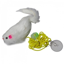 i.catalog_items_name