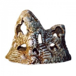 i.catalog_items_name