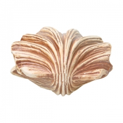 i.catalog_items_name
