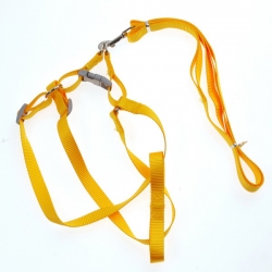 i.catalog_items_name