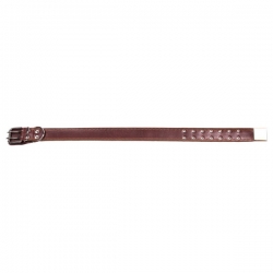 Ошейник кож. 45 брез. дл.(Наша РР)