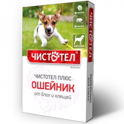 i.catalog_items_name